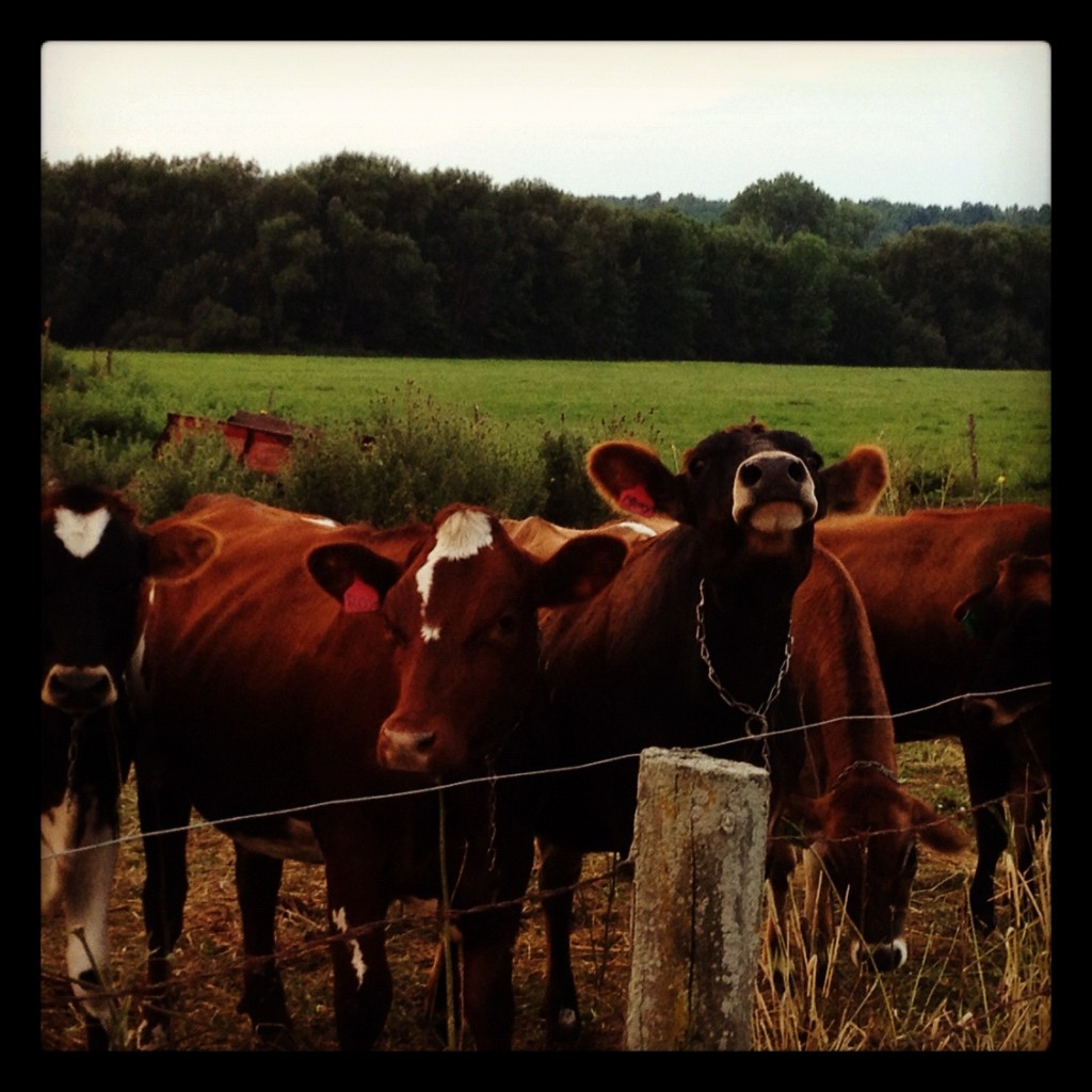 The Girls come for a Visit