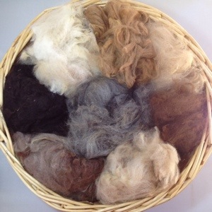 Basket of Alpaca