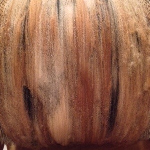 Alpaca Fibers Blending on a Drum Carder